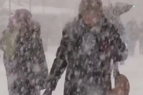 Two men walking in the snow fall