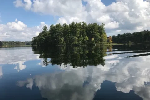 Trees middle of the river and cloud sky